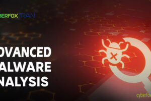 Advanced Malware Analysis Training Course-Cyberfox Train